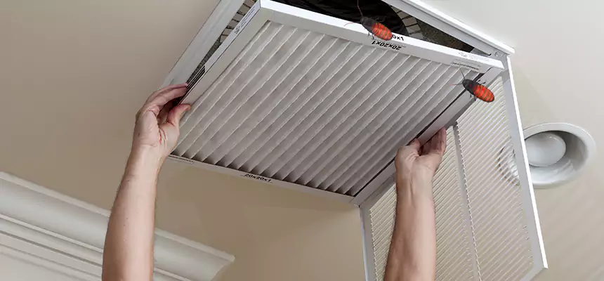 Our Insect Removal from Air Ducts Services in Salem, MA