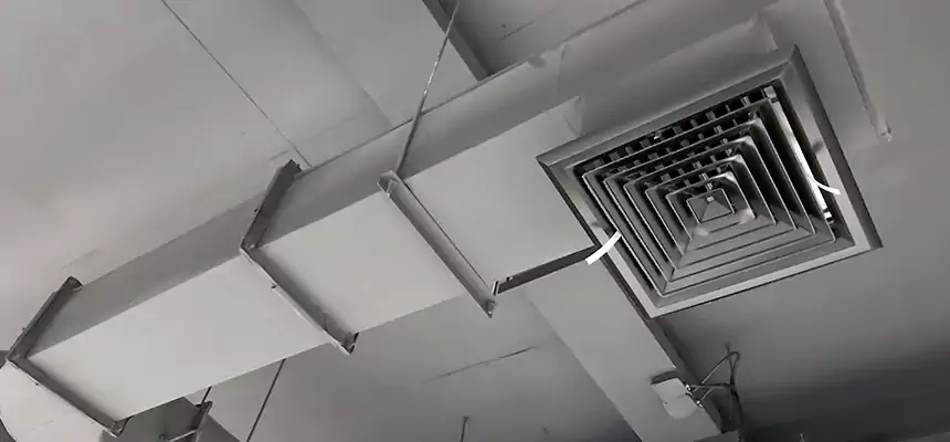 Our Pest Removal From Ducts Services in Salem, MA