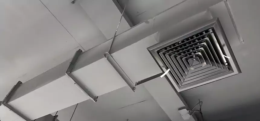 Our Rodent Droppings In Vents Services in Salem, MA