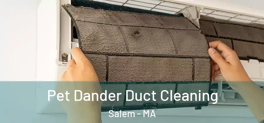 Pet Dander Duct Cleaning Salem - MA