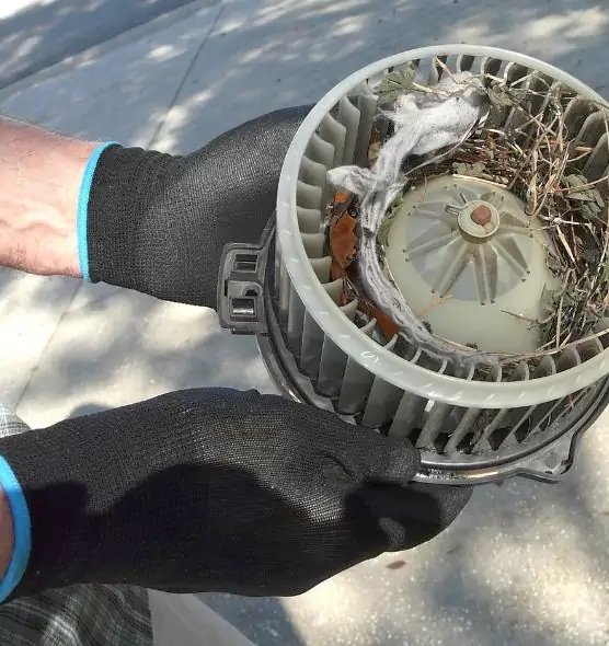 About Air Duct Mice Removal in Salem, MA