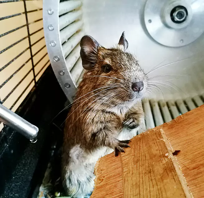 Why Homeowners & Businesses Trust Us Salem, MA?