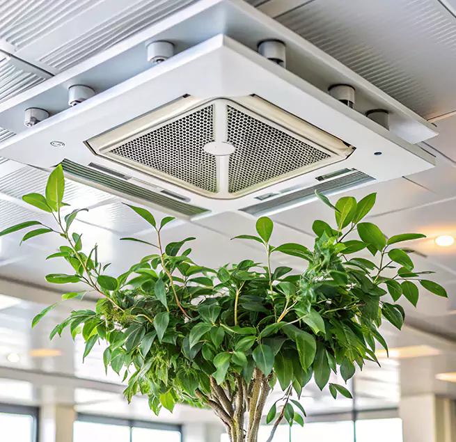 Why Homeowners & Businesses Trust Us in Salem, MA?