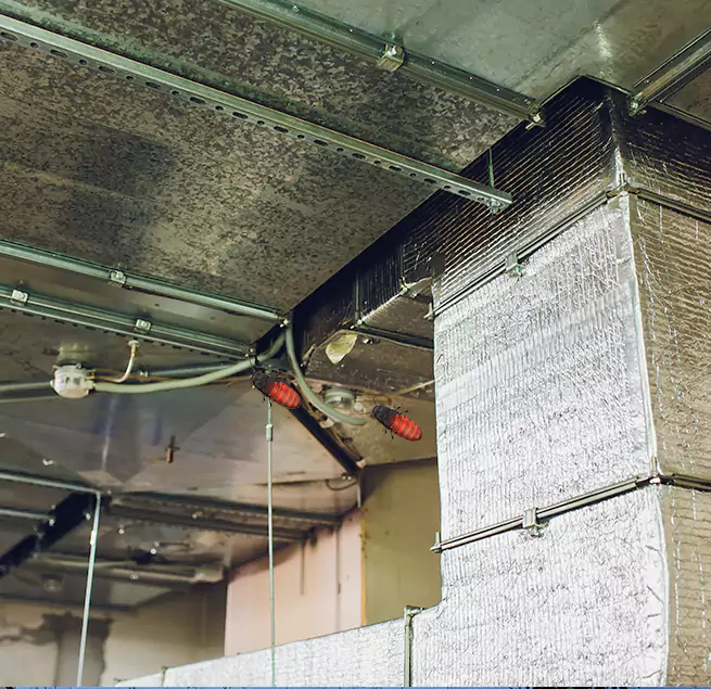 Why Homeowners & Businesses Trust Us Salem, MA?